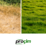 yaz-sicaginda-cim-bakimi-diyarbakir