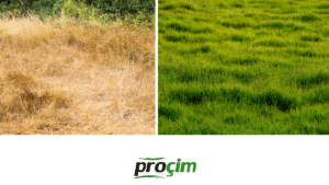 yaz-sicaginda-cim-bakimi-diyarbakir