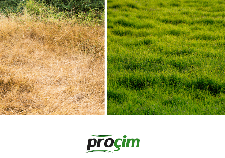 yaz-sicaginda-cim-bakimi-diyarbakir