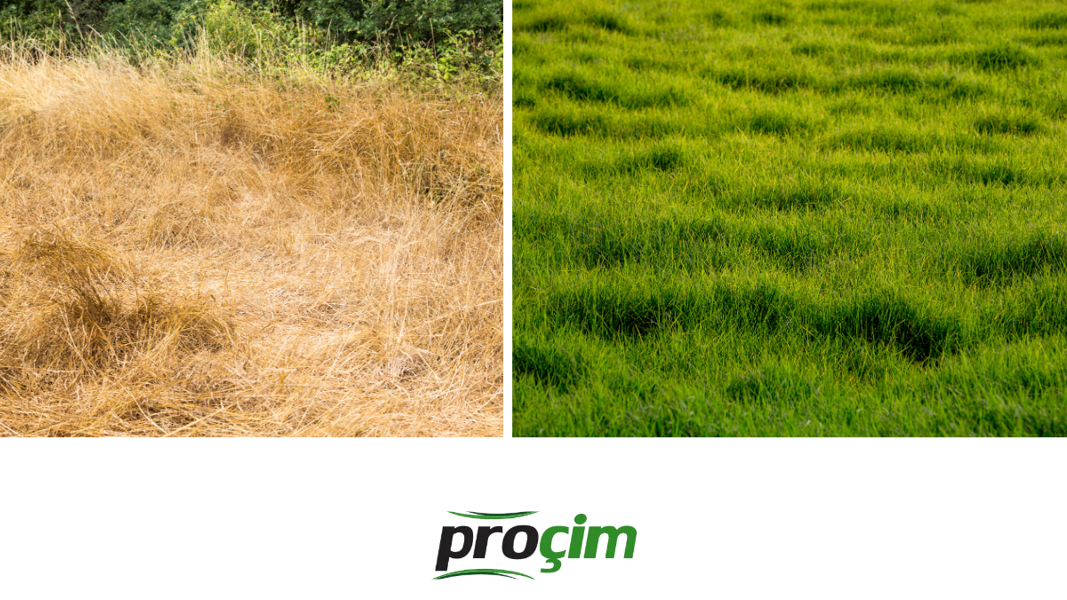 yaz-sicaginda-cim-bakimi-diyarbakir