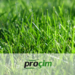 diyarbakir-iklimine-uygun-cim-turleri-ve-cim-bakiminda-dikkat-edilmesi-gerekenler