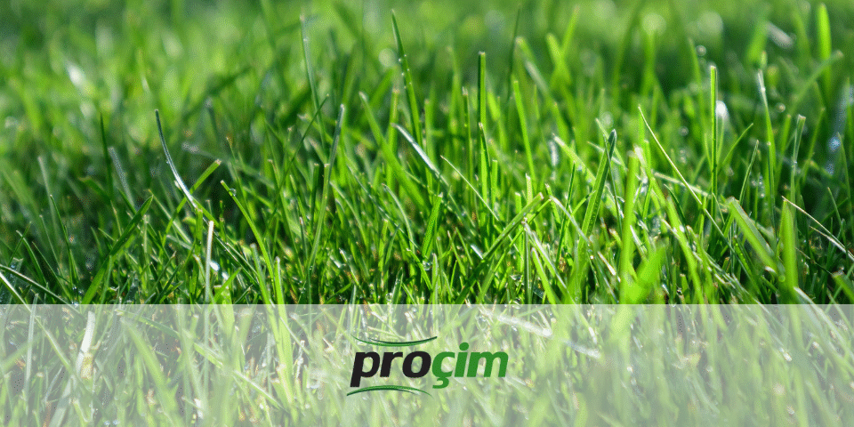 diyarbakir-iklimine-uygun-cim-turleri-ve-cim-bakiminda-dikkat-edilmesi-gerekenler