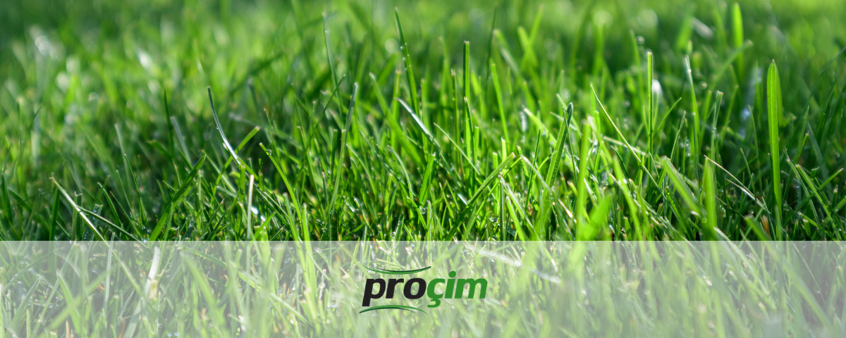 diyarbakir-iklimine-uygun-cim-turleri-ve-cim-bakiminda-dikkat-edilmesi-gerekenler