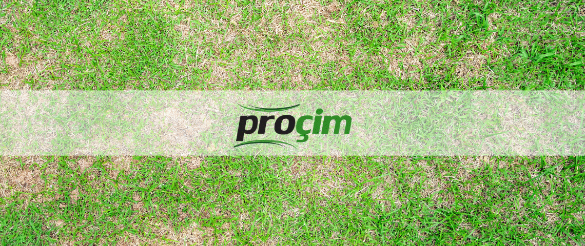 kahverengi-yama-hastaligi-ile-mucadele-yontemleri