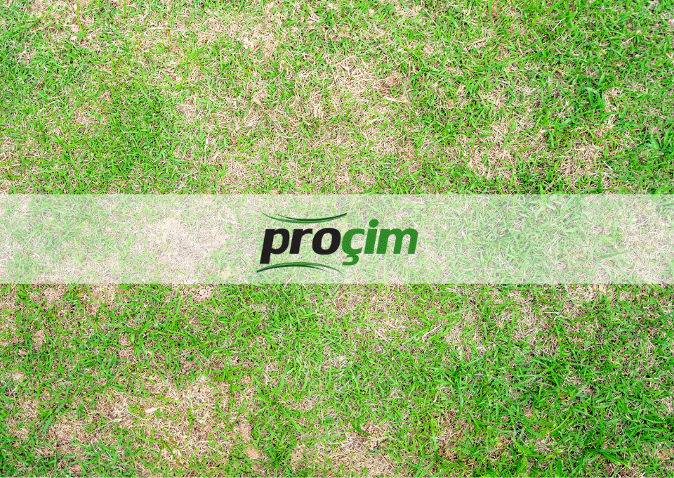 kahverengi-yama-hastaligi-ile-mucadele-yontemleri