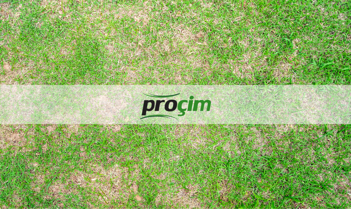 kahverengi-yama-hastaligi-ile-mucadele-yontemleri