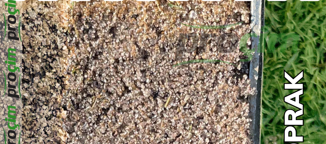 procim-diyarbakir-vertikat-aciklama